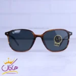 عینک آفتابی ری بن فریم هاوانا شیشه مشکی RB 2193/5