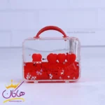 جاقلمی آکواریومی مدل کیف قرمز | 1603/1