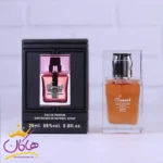 ادکلن جیبی اسمارت 317 دیور هوم اینتنس 25 میل