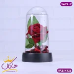 حباب شیشه ای چراغ دار گل سرخ 7576/3