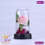 حباب شیشه ای چراغ دار گل رز صورتی 7576/4