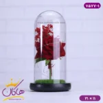 حباب شیشه ای چراغ دار گل قرمز همراه با کابل 7577/1