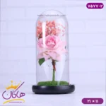حباب شیشه ای چراغ دار رز و گل عروس همراه با کابل 7577/2