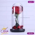 حباب شیشه ای چراغ دار گل قرمز همراه با کابل 7577/3