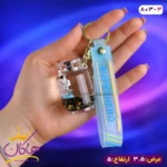 جا کلیدی اکواریومی فضانورد سفینه سوار 803/3