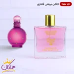 ادکلن اسمارت کالکشن 250 فانتزی بریتنی اسپیرز 100 میل | Smart Collection 250 Britney spears Fantasy