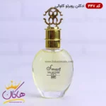 ادکلن جیبی اسمارت کالکشن 447 روبرتو کاوالی قرمز 25 میل - Image 3