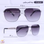 عینک آفتابی آیس برلین مردانه مشکی T113/4 - Image 2