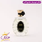 عطر ادکلن آلدو 100 میلی لیتر | Aldo Blandora - Image 2