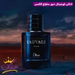 عطر ادکلن مردانه دیور ساواج الکسیر 60 میل - Image 3