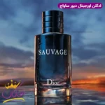 ادکلن ساواج دیور ادوپرفیوم مردانه 100 میل - Image 3
