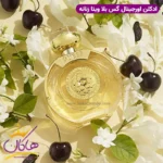 عطر ادکلن گس بلا ویتا زنانه اورجینال ۱۰۰ میل - Image 3