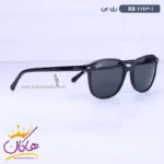 عینک آفتابی ری بن مردانه مشکی RB2193 - Image 4
