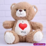 عروسک پولیشی خرس قلب قرمز کد 6601/5 - Image 4