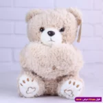عروسک خرس ولنتاین قلبی پولیشی کوچک کد 6602/11 - Image 2