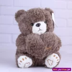 عروسک خرس ولنتاین قلبی پولیشی کوچک کد 6602/11 - Image 3