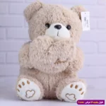 عروسک خرس ولنتاین قلبی پولیشی کد 6602/12 - Image 3