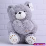 عروسک خرس ولنتاین قلبی پولیشی کد 6602/12 - Image 2