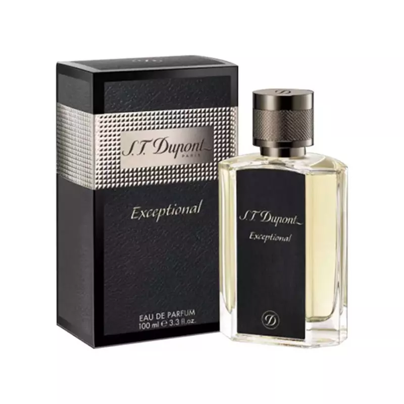 عطر ادکلن اس تی دوپونت اکسپشنال مردانه 100 میل