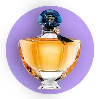 Spring 1405 HakanShop Category Perfume1 1